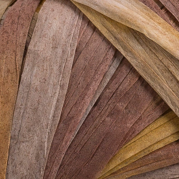 Fibra Natura Raffia Multi 35gr Ebruli Kağıt İp - 117-04