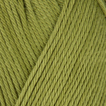 Etrofil Organic Cotton Yeşil El Örgü İpi - 74386