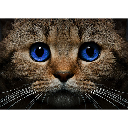 Collection D Art Blue-eyed Cat 38 x 27 Mozaik Kit - DE497