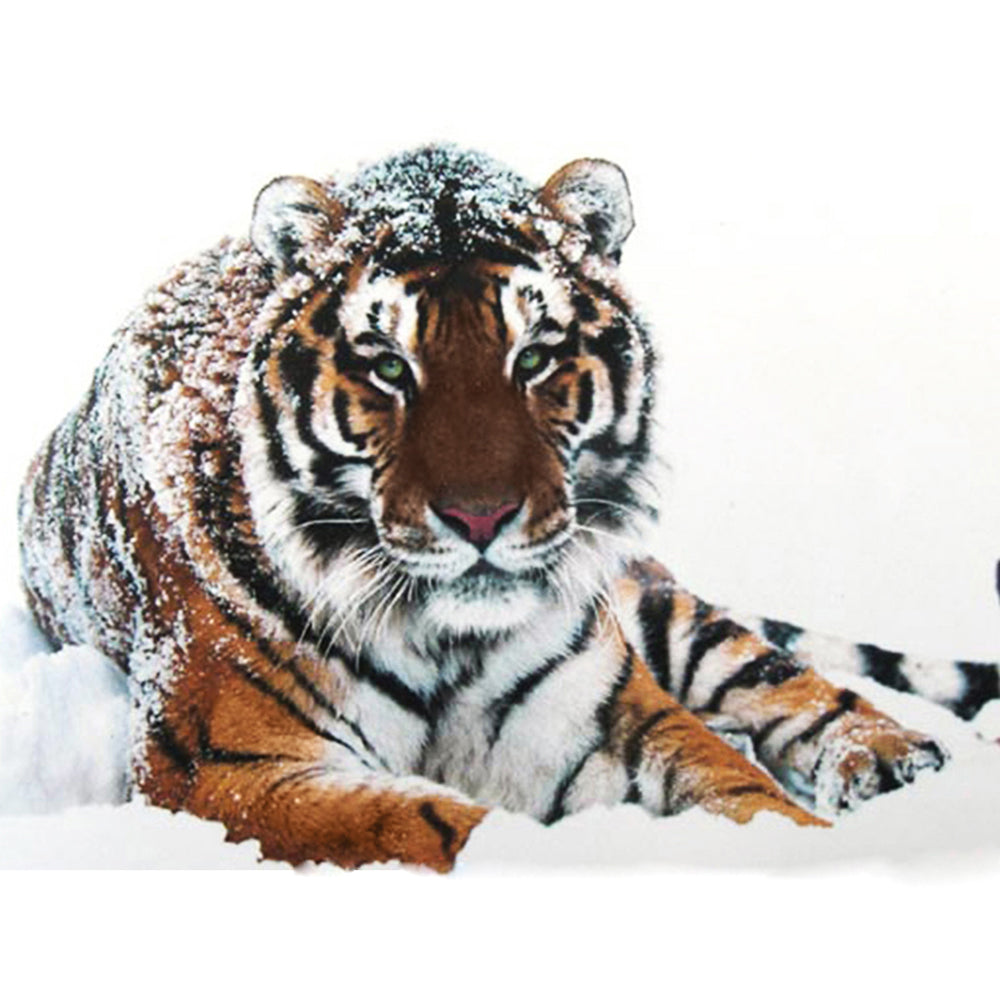 Collection D Art Tiger on The Snow 48 x 38 Mozaik Kit - DE451