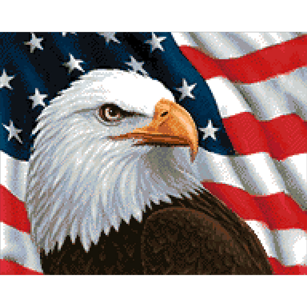 Collection D Art Eagle 38 x 48 Mozaik Kit - DE057