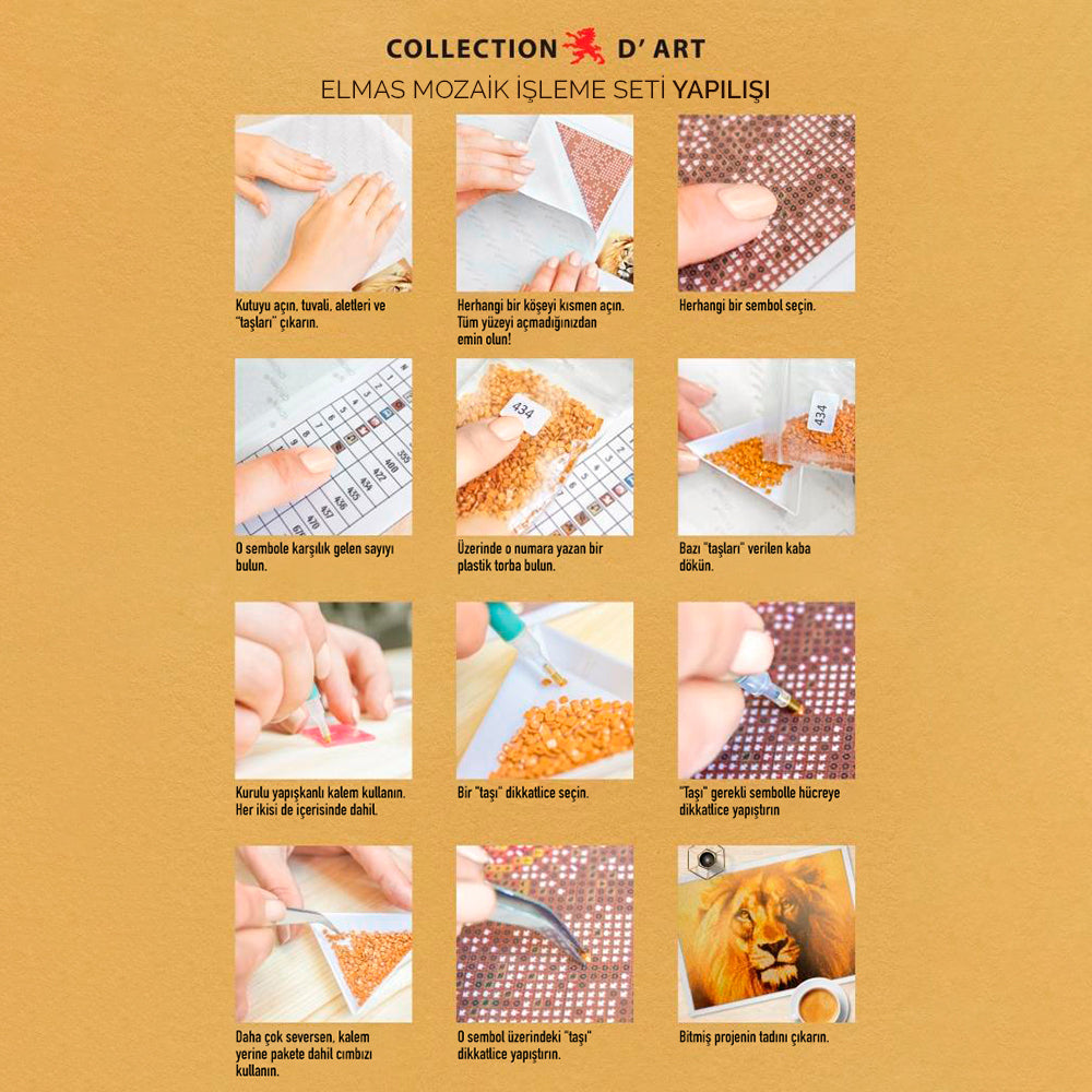 Collection D'Art Mozaik Kit 38х27 - DE864