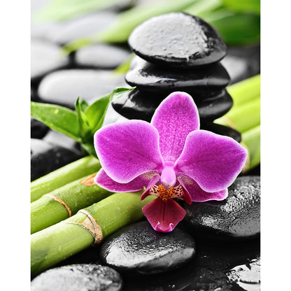 Collection D Art Orchid and Bamboo 27x38 Mozaik Kit - D4659
