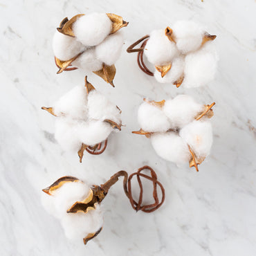 Loren 5'li Telli Pamuk Kozası