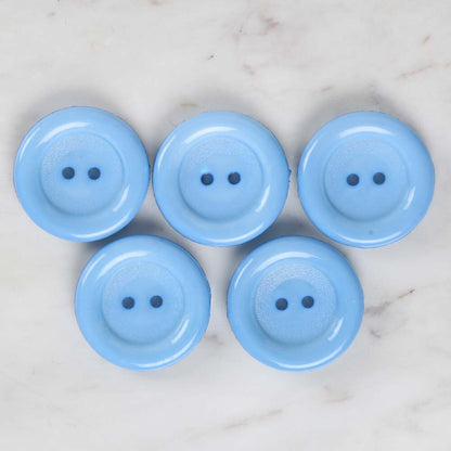 Loren Crafts 5'li Mavi Büyük Düğme - 1779
