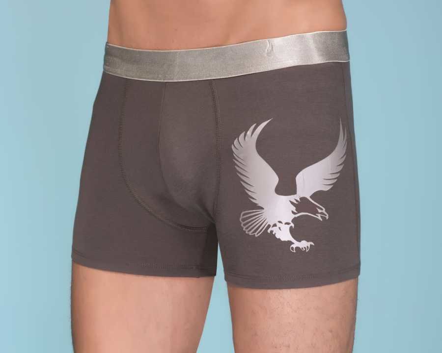 Berrak 1091 Erkek Boxer - Füme - XL