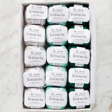 La Mia Fettucia Kaktüs Seti